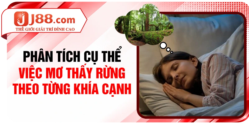 Phân tích cụ thể việc mơ thấy rừng theo từng khía cạnh